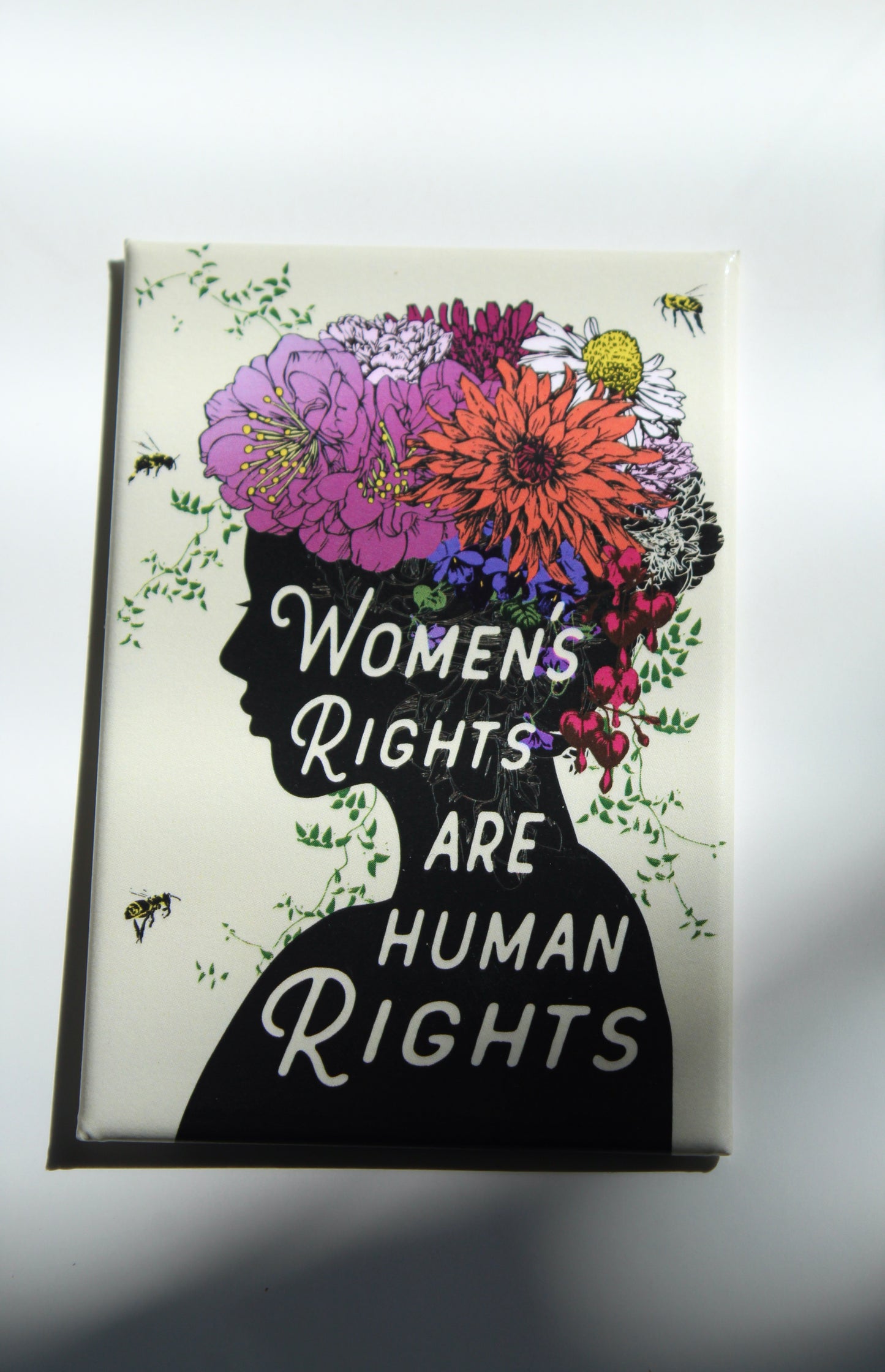 WOMEN'S RIGHTS ARE HUMAN RIGHTS