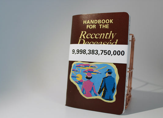 Handbook for the Recently Deceased - 2 Pocket Sized Lined Notebooks